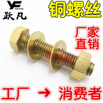 Yuefan GB30 brass hexagon screw nut flat pad copper hexagon pure copper screw full tooth screw special price