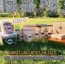 (Equestrian rider recommended) Yinuo IROSKA organic horse snacks horse biscuits many flavors full of 118