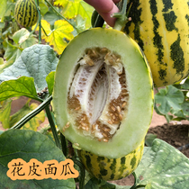 Flower Peel Sweet Melon Seed Old Variety Precooked Yellow Peel Face Melon Seed All Season High Yield Crisp Melon Spring Melon Fruits Seed