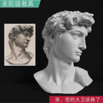 50 cm plaster statue of David art teaching aids sketch head copy still life ornaments model statue sculpture props