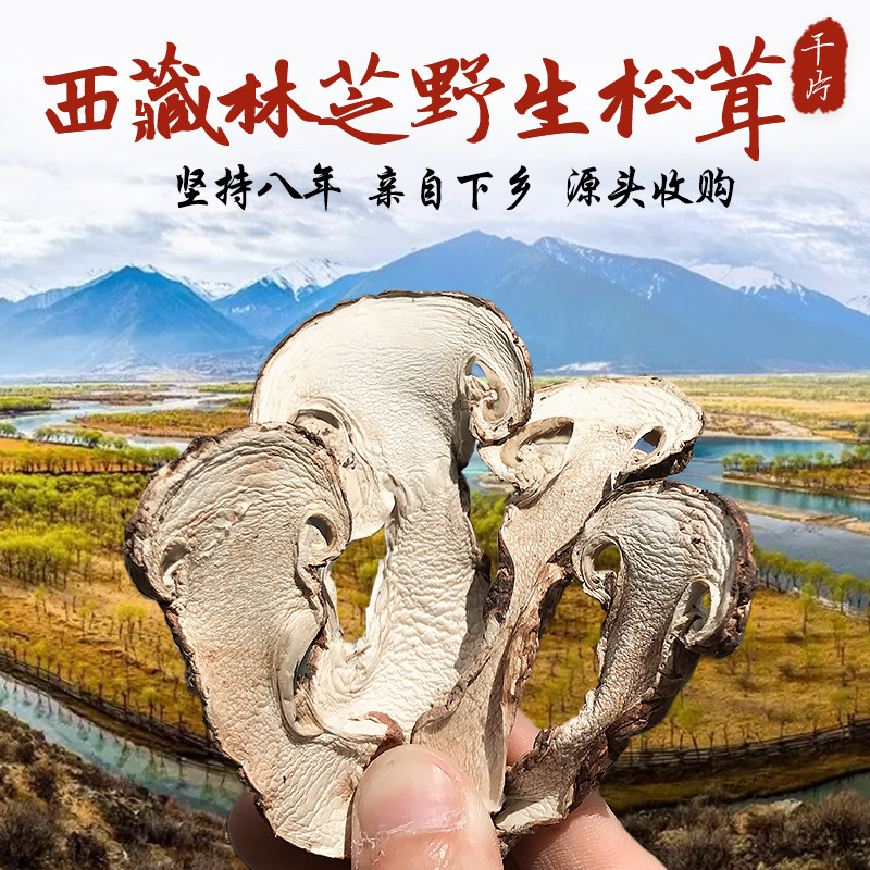 高原珍馐!西藏野生松茸干货3500米海拔不开伞带皮松茸干片,滋补养生新选择!-松茸-淘宝好物网