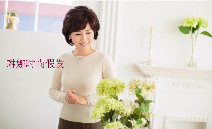 Perruque OTHER   cheveux courts - Ref 2608250 Image 9