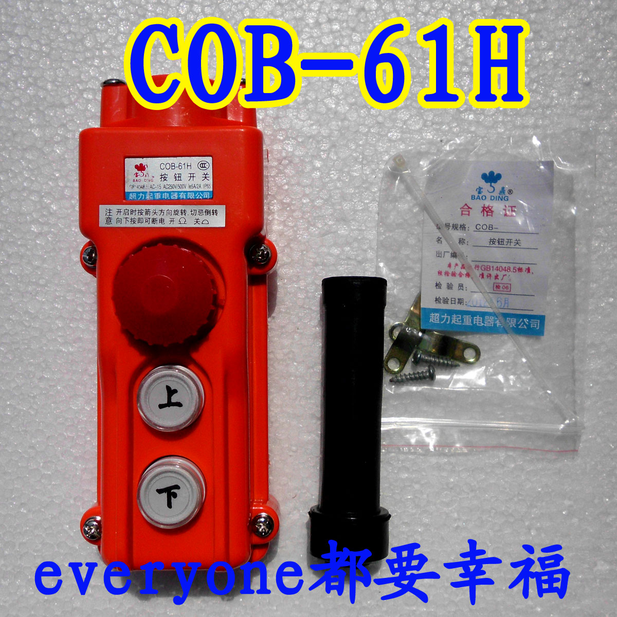 Baoding upper and lower two-position push button switch with emergency stop lifting appliance COB-61H for CLD electric crane