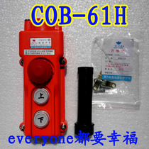 Baoding upper and lower two button switch with emergency stop lifting appliance CLD electric hoist special COB-61H
