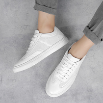 Summer breathable white board shoes Korean version hollowed-out small white shoes mens inner heightening casual genuine leather Lefu shoes 100 hitch shoes