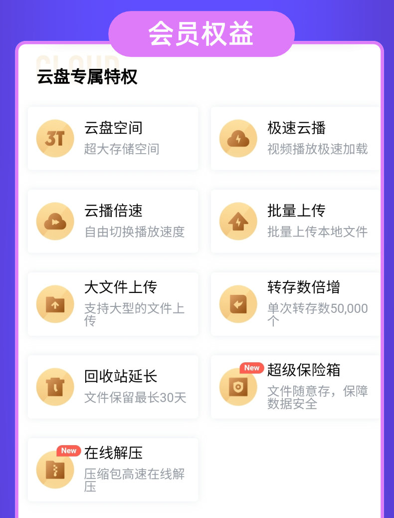迅雷 白金会员年卡 12个月 图4