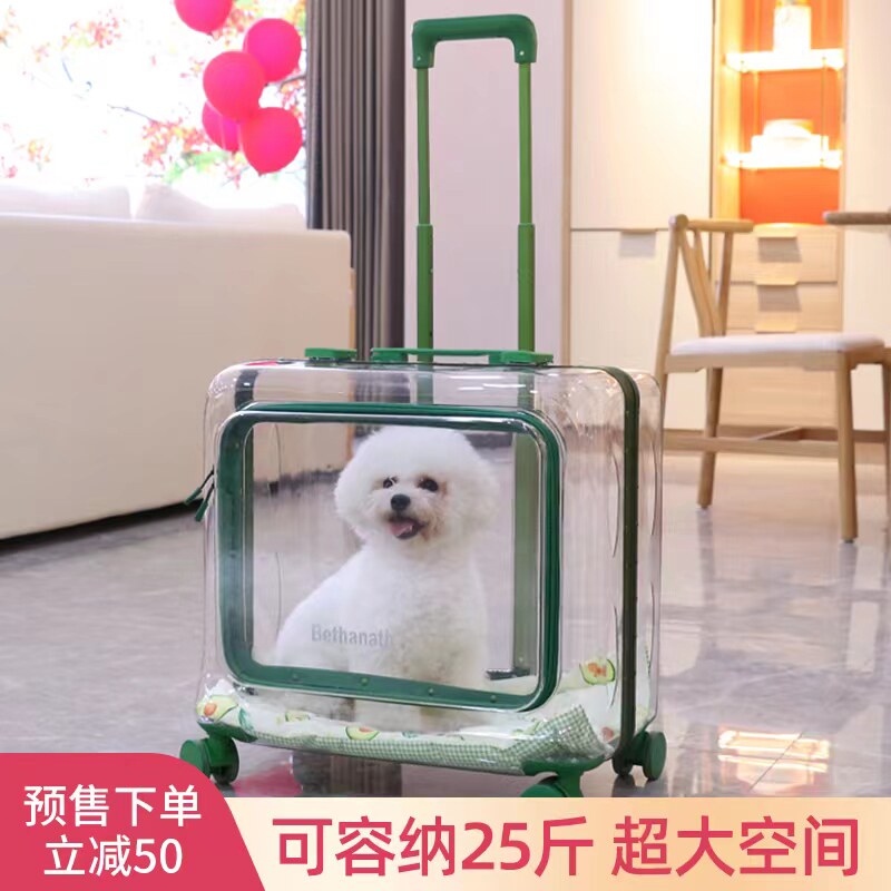 Cat bag outgoing portable large capacity transparent pet pull-lever case hand two summer oversized dog kitty suitcase
