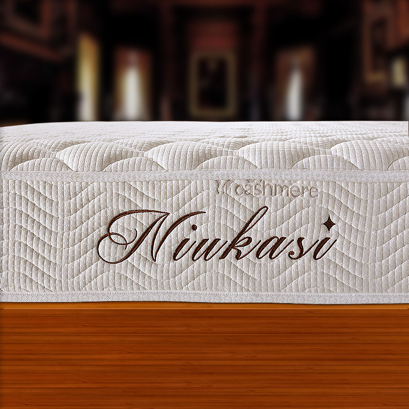 Ŧ��˹����ϯ��˼015