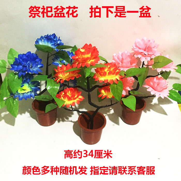 Sacrificial use of pelvic flowers with flower of flowers Flowers Tomb of the Flowers Meditation Yellow Burning Paper Money Tomb Sweeping Day of Tomb Sweeping Day of Tomb Sweeping Day of Tomb Sweeping Day