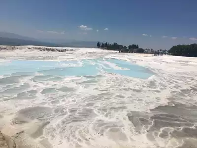 Postal fee overlink (single auction does not ship)