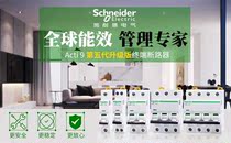 Schneider air switch A9 IC65N circuit breaker household 1P2P3P4P without leakage protector Type C