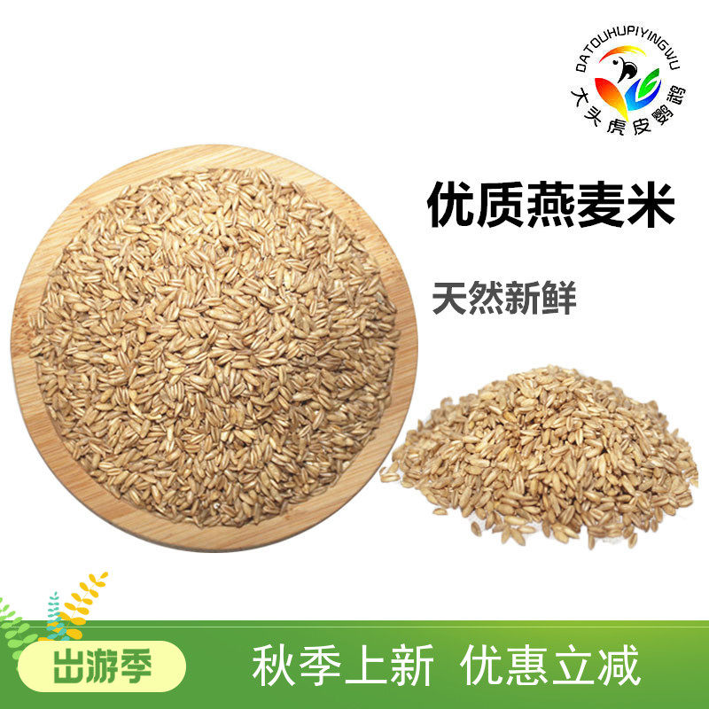 Oat bird food oat kernel tiger skin Xuanfeng peony parrot grain oat rice shelling bird food feed two catties