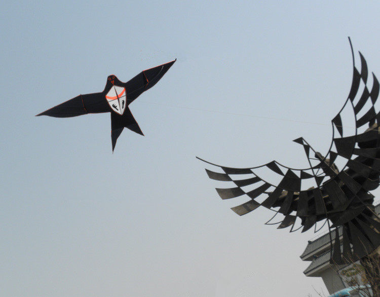 T29MbsXmhaXXXXXXXX_!!692940705