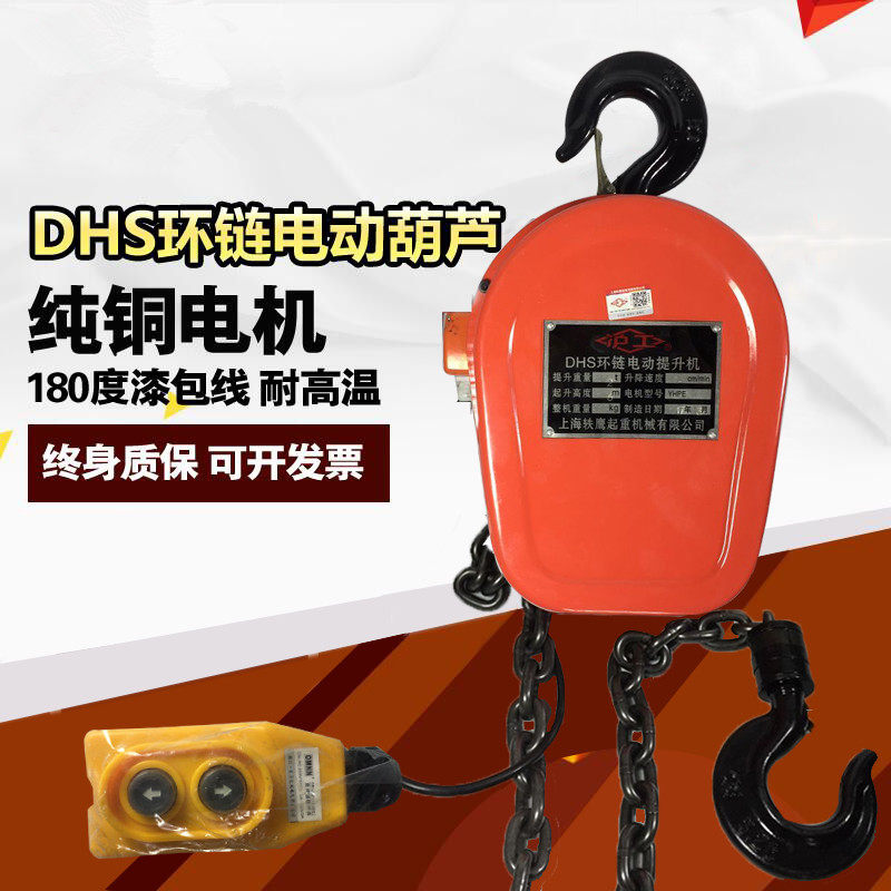 Ring chain electric hoist electric lifter 1T ton 2T5T10T ton 3 m 6M Shanghainwork DHS chain electric crane