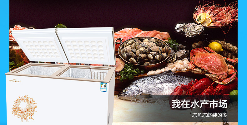 Midea / beauty BCD-269DKMA hàng đầu mở đôi cửa nhà kính tủ lạnh - Tủ đông tủ đông pinimax