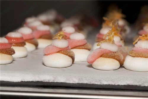 Американская полиспира Бревилль Коммерческий замороженный замороженный пищу Скорость замороженные замороженные холодные кросс -критерия