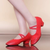 Новая танцевальная обувь Plaza Boto мягкое дно мягкое дно маленькая танце