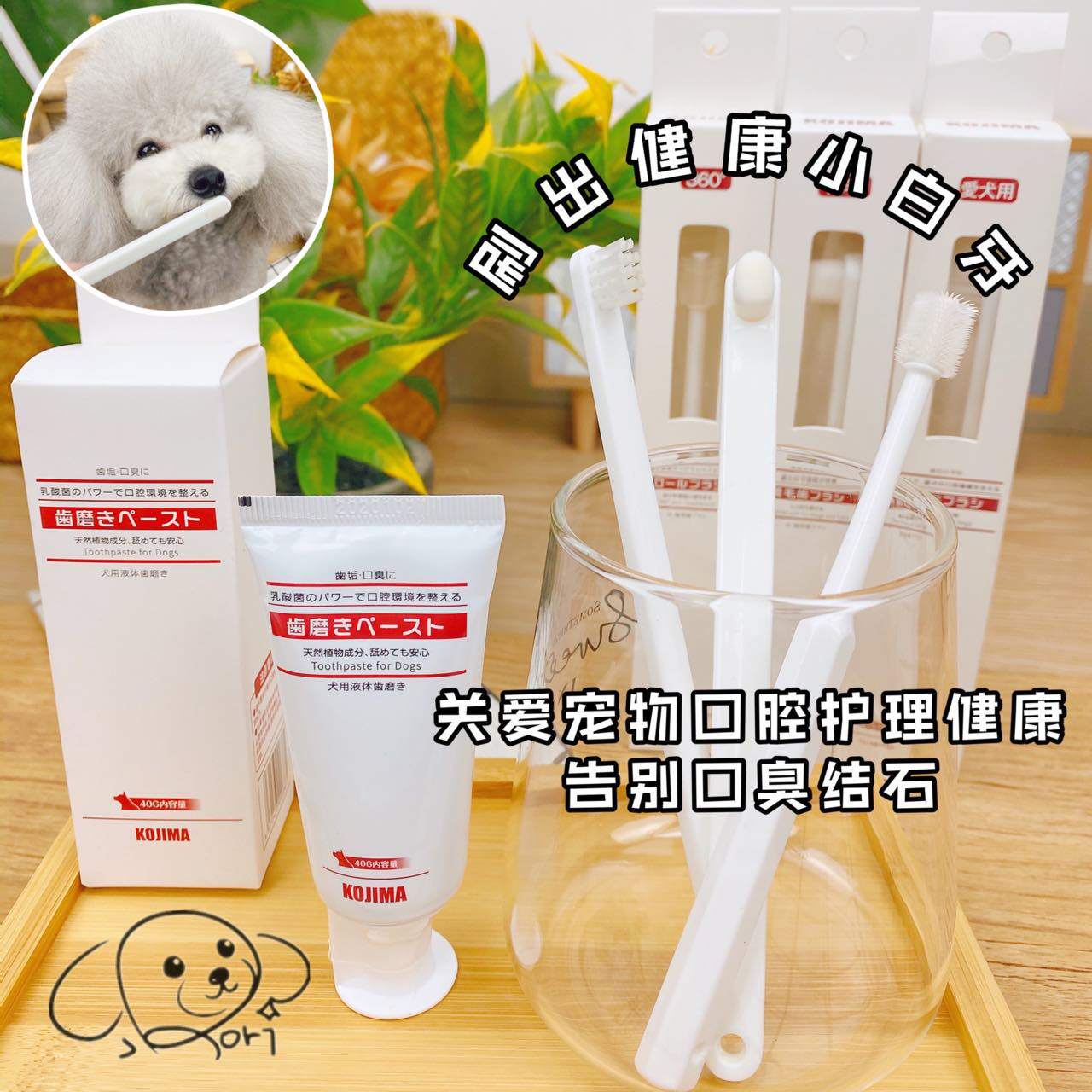 robi pet-Japan KOJIMA toothbrush nano 360 degree dog cat universal toothpaste cleaning dog mouth brushing