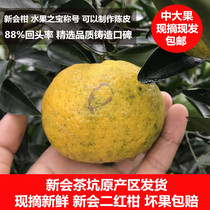 Xinhui delivery authentic Xinhuai tea pit Daqing two red citrus fresh fruit fresh red citrus peeler small green skin