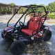 Family style kart park gasoline kart park