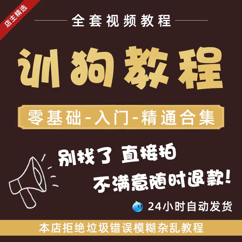 Dog Training Course Teddy Golden Maker Dog Labrador FireDog Novice Training Zero Basic Course