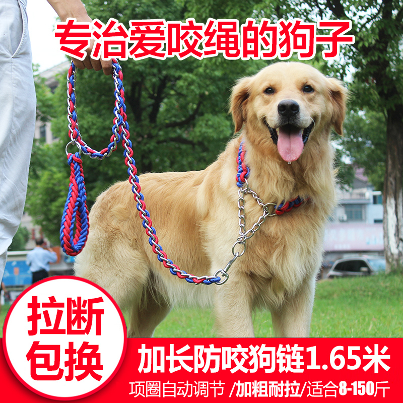 Dog collar traction rope set tie dog chain Golden Retriever Satsuma medium and large dog walking rope anti-bite explosion-proof rush