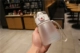 Xác thực đậu Hà Lan cốc bụng lớn Hàn Quốc dễ thương cốc sippy sáng tạo thuận tiện nữ sinh viên nhỏ tay chai nước thủy tinh - Tách bình thủy lock&lock