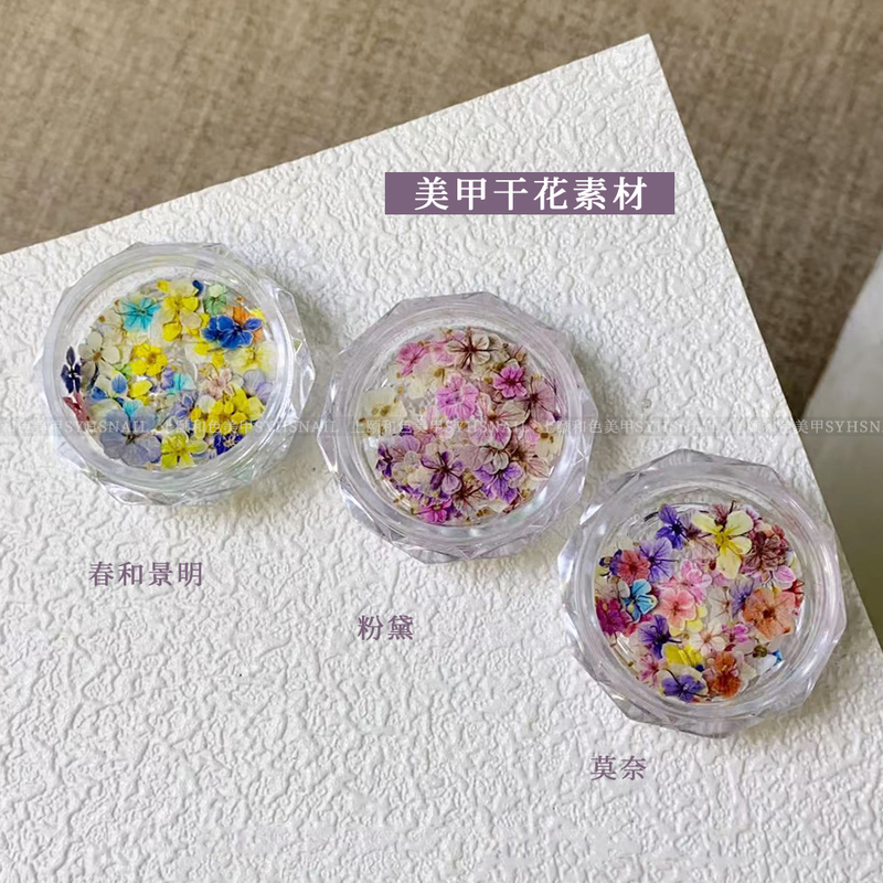 Syhs Nail Art Natural Color-Absorbing Dried Flowers Blue Green Purple Purple-Pink Nail Decoration DIY Accessories Special for Nail Art Syhs Nail Art Natural Color-Absorbing Dried Flowers Blue Green Purple Purple-Pink Nail Decoration DIY Accessories Special for Nail Art
