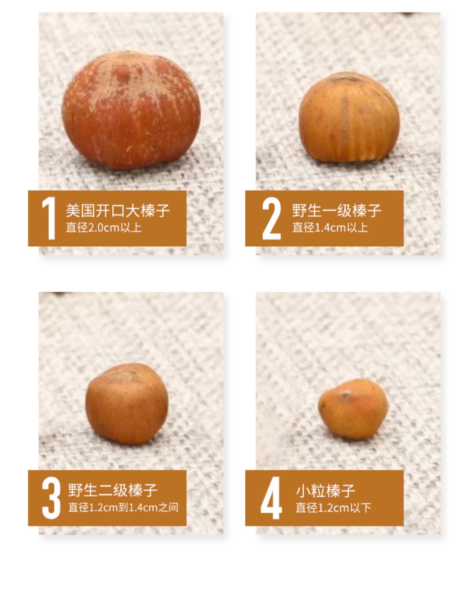 鼠小于2021东北新鲜榛子