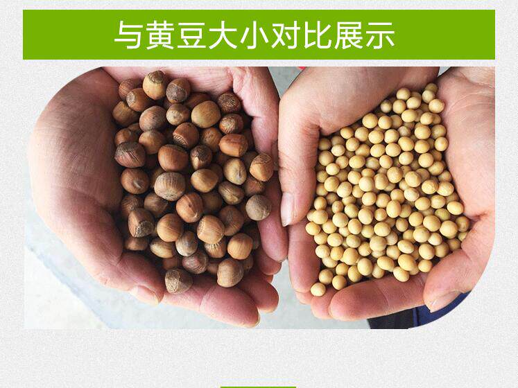 鼠小于 东北特产 铁岭野生小榛子 500g 淘宝优惠券折后￥16.6包邮（￥19.6-3）生熟款可选