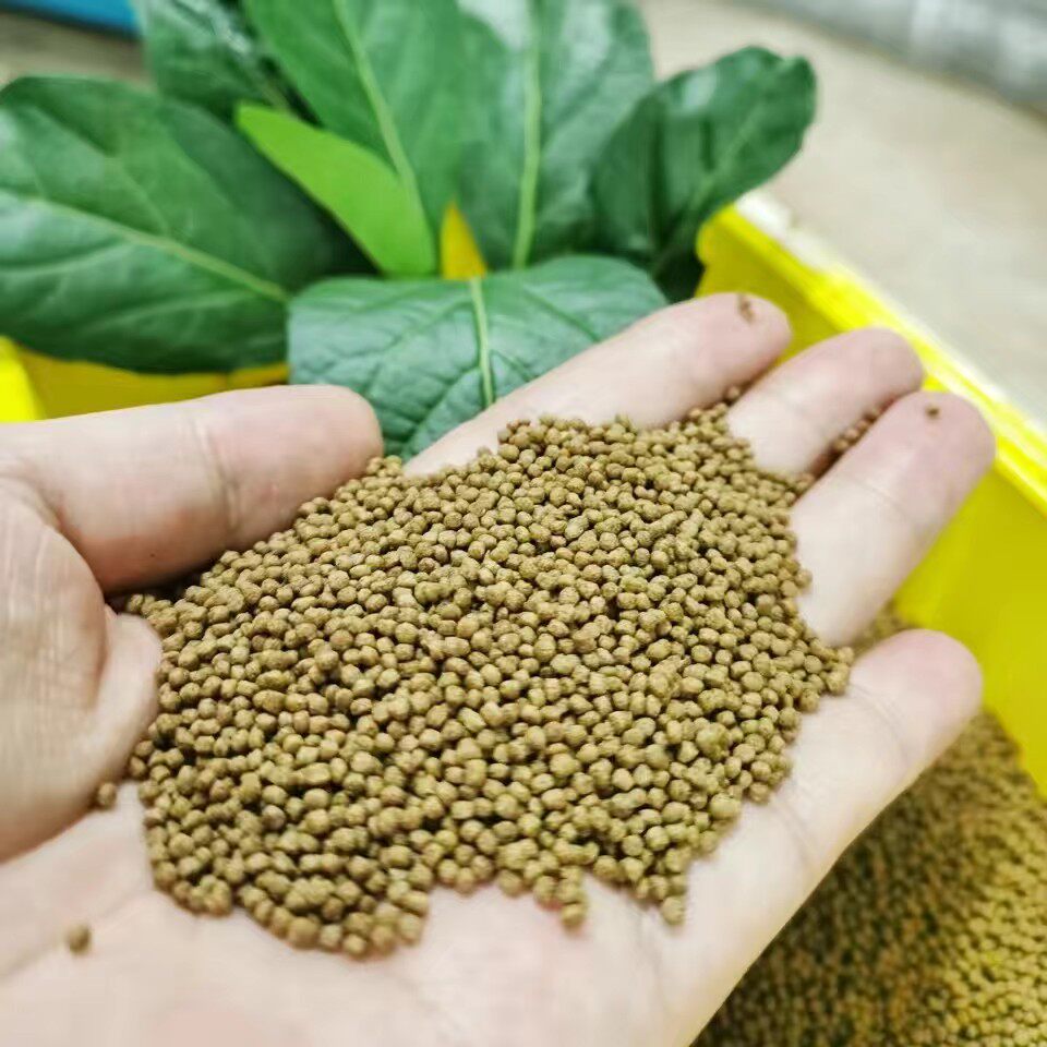 General feed for tortoises, flame tortoises, egg tortoises, Chinese tortoises, Brazilian tortoises, etc.