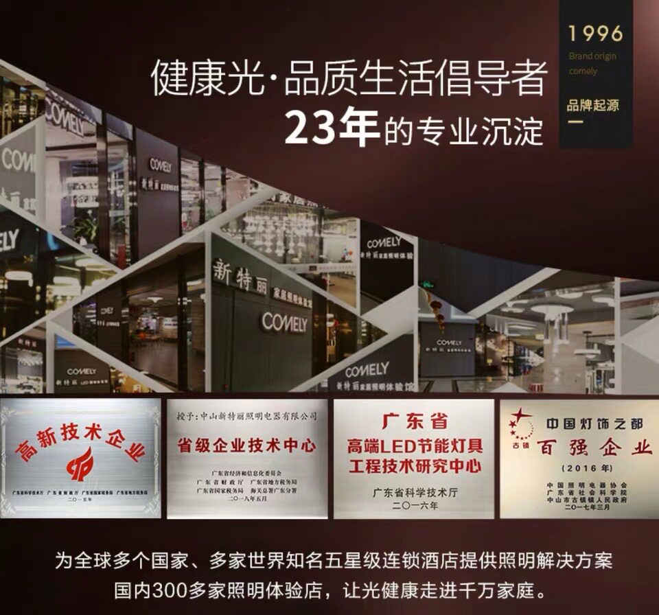 Ресторан люстра 新特丽北欧餐厅吊灯简约现代客厅轻奢灯饰装饰灯具单头吧台灯