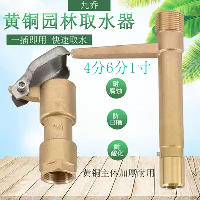 Lawn Garden full copper 4 minutes 6 minutes 1 inch water intake valve plug Rod ground joint sprinkler Bolt dn20 25