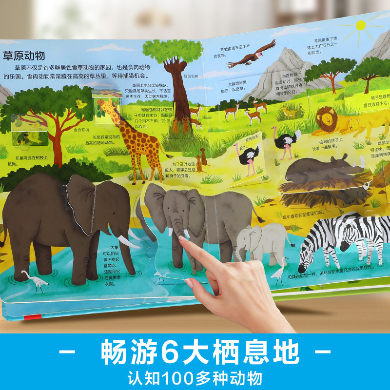 英翻中大揭秘！DISPLAY，中文原来是这样!