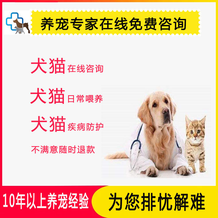 Cui's pet expert online consultation free Q & A cat dog professional consultation love and worry-free