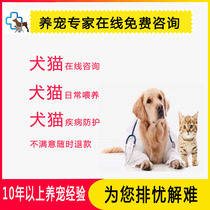 Cui's pet expert online consultation free question and answer cat dog professional consultation love pet happy worry-free
