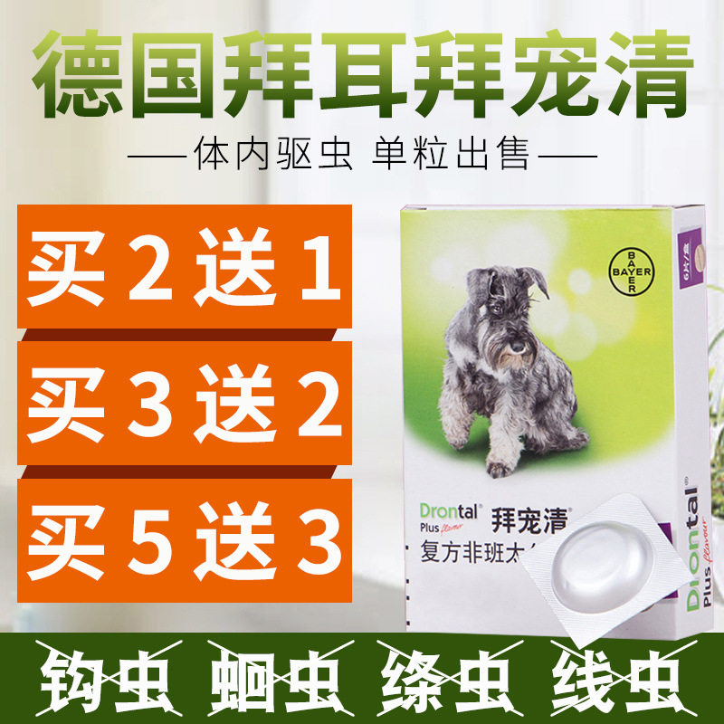 Deworming dog in Germany's pet pooch with insect repellent, pet dog generic insect repellent, Bayer dog insect repellent