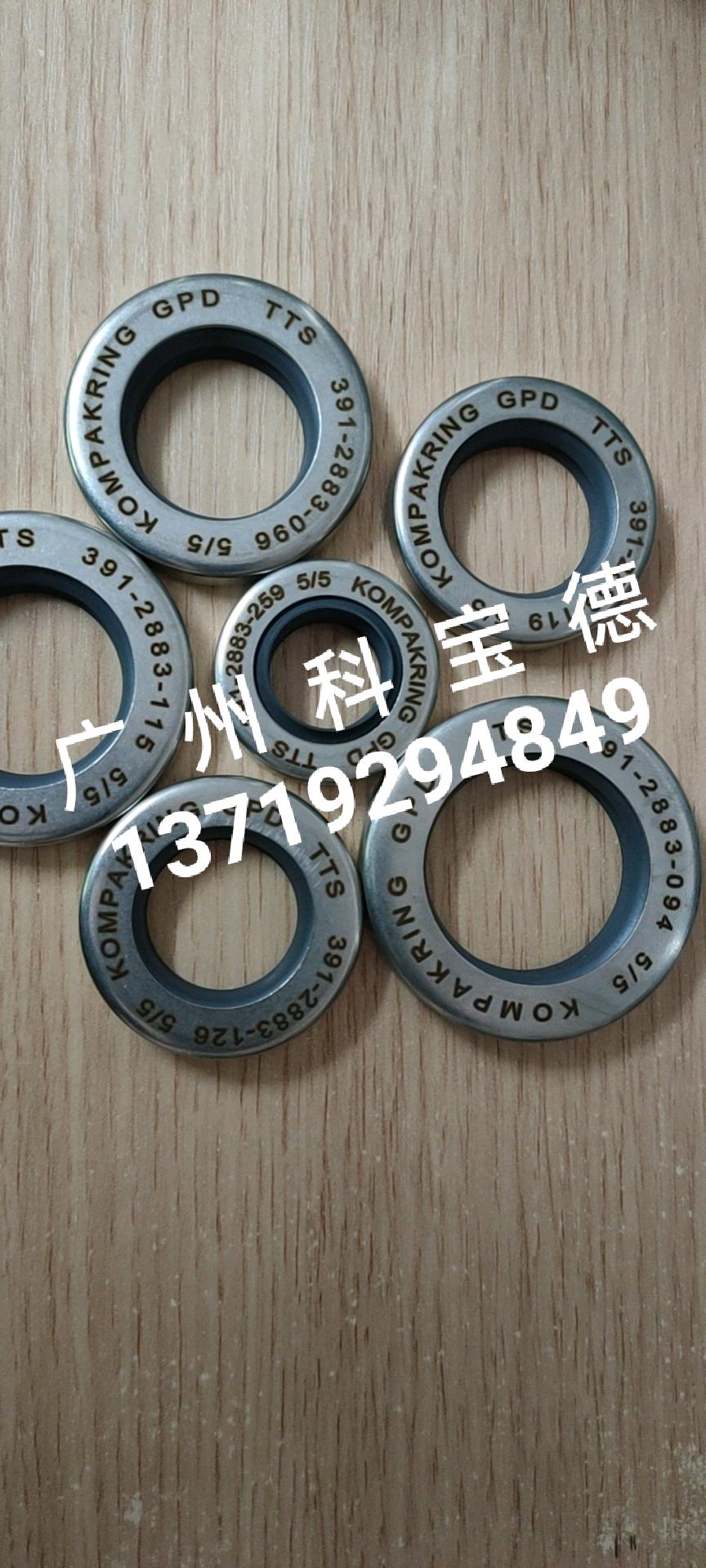 391-2883-094 096 115 119 126 259 Parker Motor Gear Pump Oil Seal