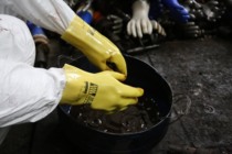 Lanwave Immersion Plastic Gloves Gold Plastic Pvc Gloves Oil Resistant Gloves Anti-Acid Anti-Alkali Oil Proof Flocking