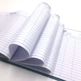 БЕСПЛАТНАЯ ДОСТАВКА Крупная физическая в дневниковом дневнике.