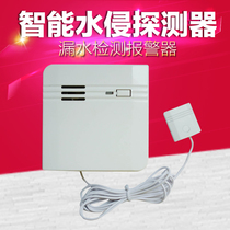 HM-003 computer room leakage sensor water immersion probe water immersion detection wired independent detector