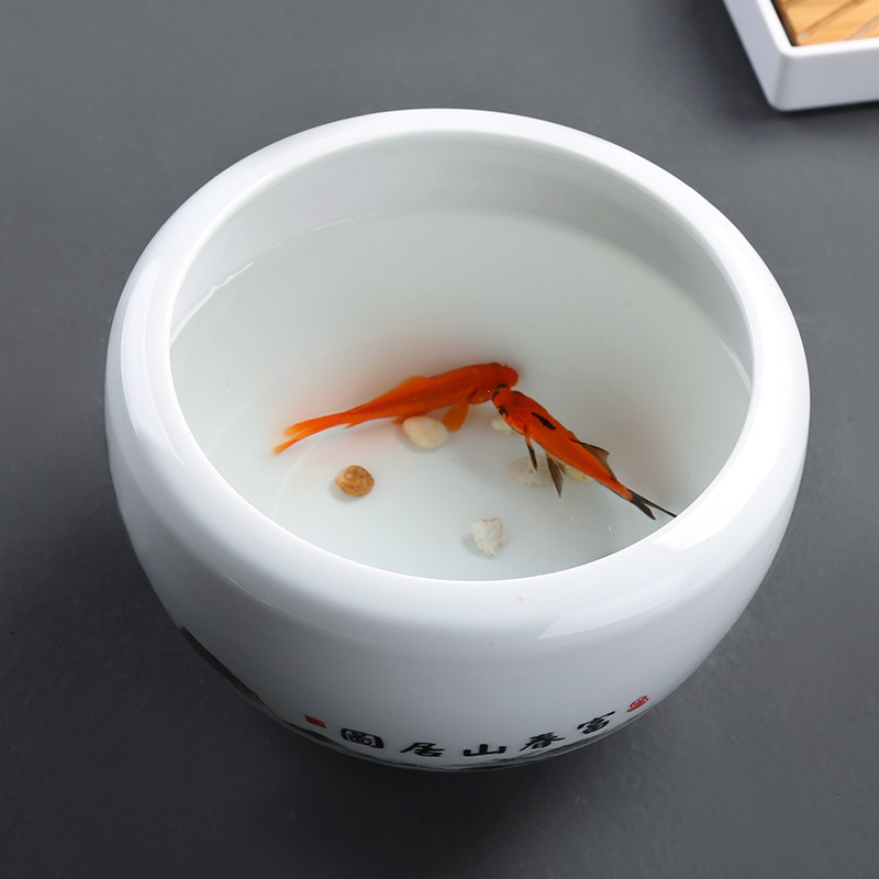 愛家百貨碗蓮盆缸荷花銅錢草專用水培花盆容器水養小金魚無孔陶瓷居家用清倉f63d Yahoo奇摩拍賣