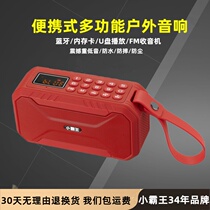 Small Bully King D100 Bluetooth Speaker Plug-in U Pan Portable Small Sound Small Radio Speaker Outdoor Low Sound Cannons