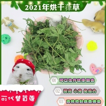 2020 Fresh high-quality 葎 草 Chinchilla rabbit stomach grass cure soft potty pull belly can replace the delicious alfalfa grass