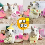 Сеть красный питомец мой сосед Totoro Totoro Live Cubs Торга Серый серебряный розовый розовый розовый уборщик с помощью вакцины