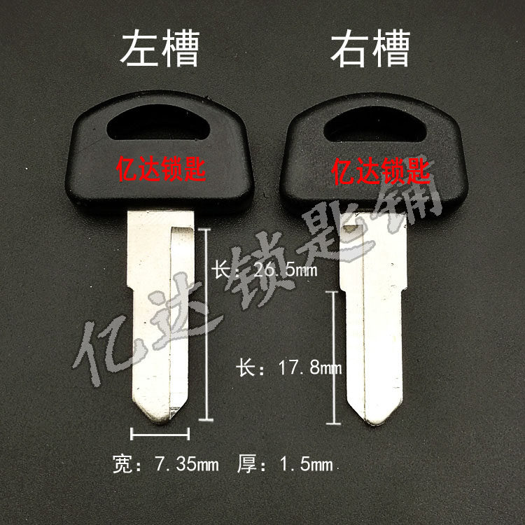 G034 - Wood Key Embryo Turtle Motorcycle Key Key Key Material