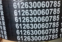 612600060785  612600060310