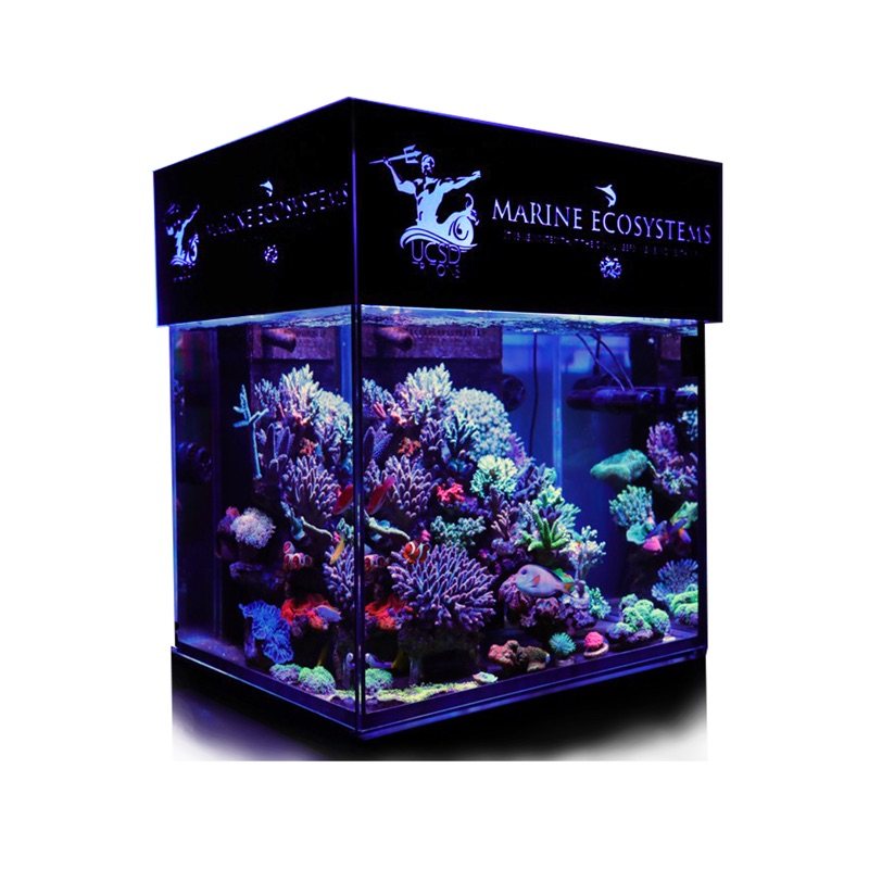 Custom fish tank lamp containment cylinder enclosure with picture color words optional sea cylinder shading plate organic glass acrylic
