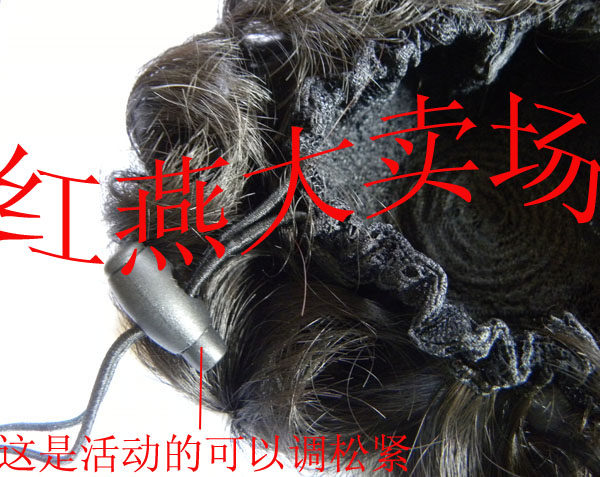 Extension cheveux - Chignon - Ref 237171 Image 13