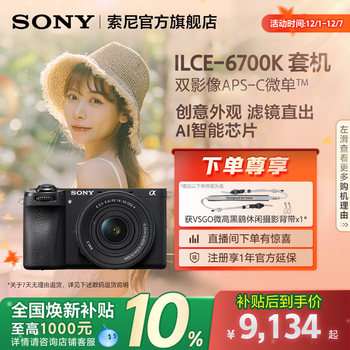 National subsidy for sony a6700 half-frame micro-single
